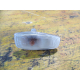 SEITLICHER BLINKER, HYUNDAI GETZ 1,1 (TB)